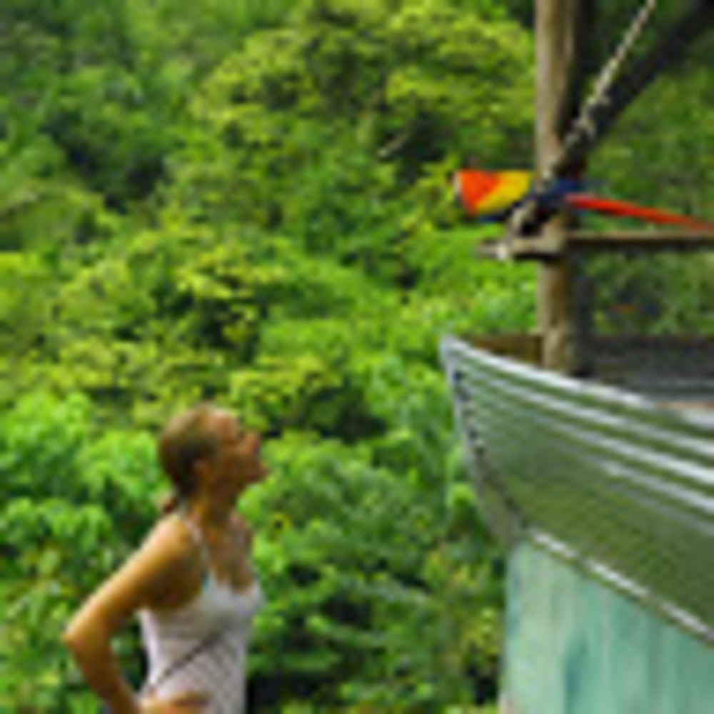 Meet your Posher, Ivy